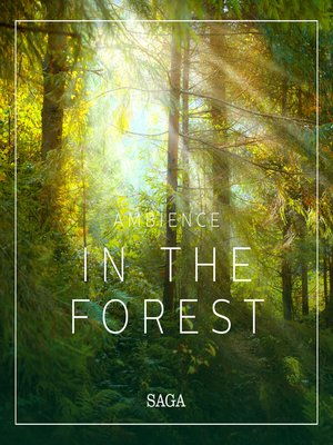 cover image of Ambience--In the Forest